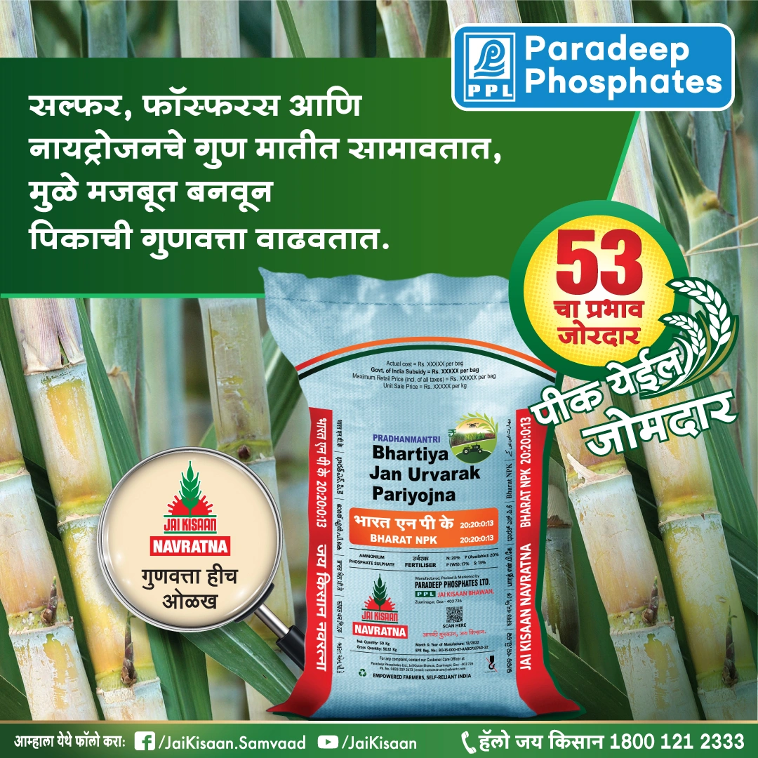 PPL-Kharif-Banners-Hindi_Sugarcane_2_Marathi-ezgif.com-png-to-webp-converter